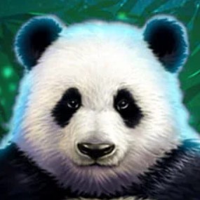 Slot «Panda»